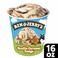 Ben & Jerry's Ice Cream Pint Vanilla Caramel Fudge Pint Perspective: Main