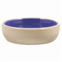 Spot Stoneware Saucer Dish Perspective: Main