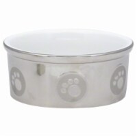 Spot Paw Print Titanium Dog Dish - Silver Perspective: Main