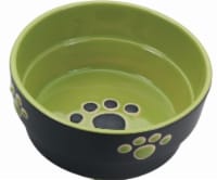Spot Stoneware Dog Dish - Green Perspective: Main