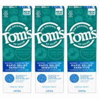 Tom's of Maine Fresh Mint Rapid Relief Sensitive Toothpaste