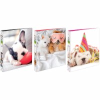 Avery Furry Friends Binder - Assorted Perspective: Main