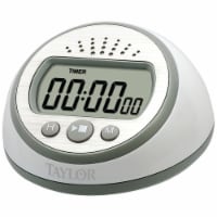 Taylor Super Loud 24 hour. Digital Timer Plastic (5873) TAP5873
