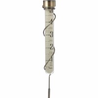 Taylor Heritage Collection 5 In. Glass Rain Gauge 484BZN