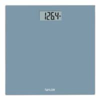 Taylor Bathroom Scale - Slate Blue