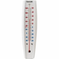 Taylor 3-1/4 W x 14-1/2 H Rustproof Tube Indoor & Outdoor Thermometer 5109