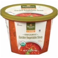 Panera Bread® Organic Garden Vegetable Soup Perspective: Main