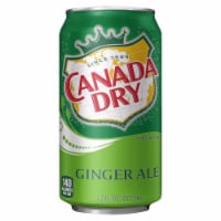 Canada Dry Ginger Ale Soda Cans Perspective: Main
