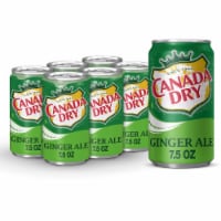 Canada Dry® Ginger Ale Soda Mini Cans