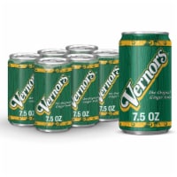 Vernors® Ginger Soda Mini Cans Perspective: Main