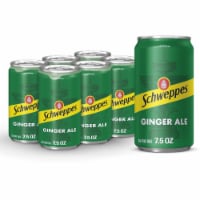 Schweppes Ginger Ale Caffeine Free Soda Cans Perspective: Main