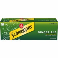 Schweppes® Ginger Ale Perspective: Main