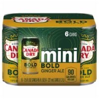 Canada Dry® Bold Ginger Ale Soda Mini Cans Perspective: Main