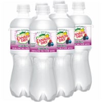 Canada Dry Triple Berry Sparkling Seltzer Water Perspective: Main