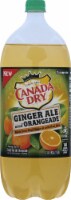 Canada Dry Ginger Ale and Orangeade Perspective: Main