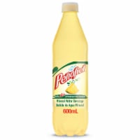 Peñafiel Piñada Flavored Mineral Spring Bottled Water Perspective: Main
