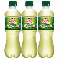 Canada Dry® Ginger Ale and Lemonade Soda Bottles Perspective: Main