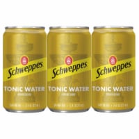 Schweppes Tonic Water Perspective: Main