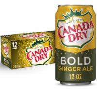 Canada Dry® Bold Ginger Ale Caffeine Free Soda Cans Perspective: Main