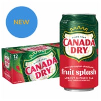 Canada Dry Fruit Splash Cherry Ginger Ale Soda Cans Perspective: Main