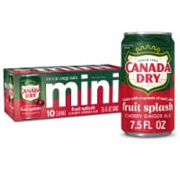 Canada Dry Fruit Splash Cherry Ginger Ale Soda Mini Cans Perspective: Main