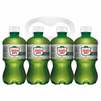 Canada Dry Zero Sugar Ginger Ale Soda Bottles Perspective: Main