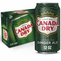 Canada Dry Ginger Ale Caffeine Free Soda Cans Perspective: Main