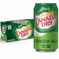 Canada Dry® Ginger Ale Soda Cans