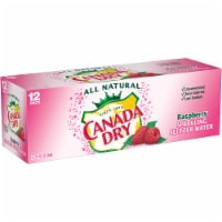 Canada Dry® Raspberry Flavored Sparkling Seltzer Water Cans Perspective: Main