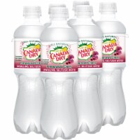 Canada Dry Pomegranate Cherry Sparkling Seltzer Water Perspective: Main