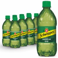 Schweppes Ginger Ale Soda Bottles Perspective: Main
