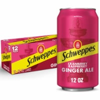 Schweppes® Cranberry Raspberry Ginger Ale Cans Perspective: Main