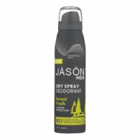 Jason Men's Forest Fresh Dry Spray Deodorant Perspective: Main