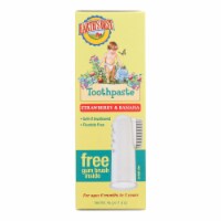 Earth's Best Toddler Toothpaste Kit Perspective: Main