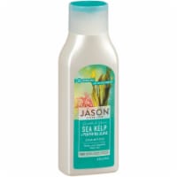Jason Smooth & Shine Sea Kelp + Porphyra Algae Shampoo