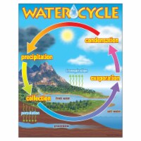 Trend Enterprises Trend Learning Charts The Water Cycle T-38119