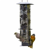 Perky-Pet Squirrel-Be-Gone Wild Bird Feeder