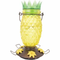 Perky-Pet Pineapple Top Fill Humbrd Fdr Perspective: Main