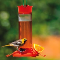 Perky Pet PP209BO Glass Oriole Feeder - 1 Piece