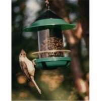 Becks BECKSCKDRED Beck's Chickadee Feeder - Red