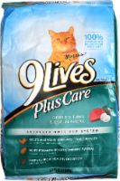 9Lives Plus Care Grilled Tuna & Egg Dry Cat Food Perspective: Main
