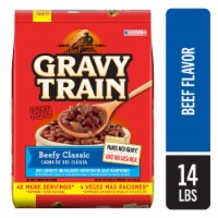 Gravy Train™ Adult Dry Dog Food Beefy Classic Flavor Perspective: Main
