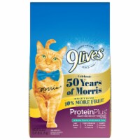 9Lives Protein Plus Dry Cat Food Perspective: Main