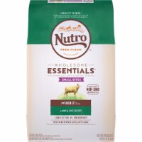 NUTRO DOG SBTA LID LM WBR 1/30 LB Perspective: Main