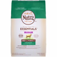 Nutro Wholesome Essentials Small Bites Lamb & Rice Recipe Dry Adult Dog Food Perspective: Main