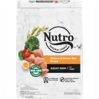 Nutro™ Wholesome Essentials Chicken Brown Rice & Sweet Potato Recipe Adult Dry Dog Food Perspective: Main