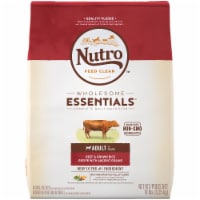 Nutro Wholesome Essentials Beef & Brown Rice Adult Dry Dog Food Perspective: Main