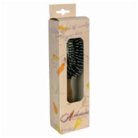 Ambassador Hairbrushes Perspective: Main