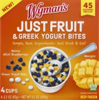 Wyman's Just Fruit Maine Wild Blueberries Mangos & Greek Yogurt Bites