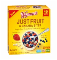 Wyman's Just Fruit Strawberries Maine Wild Blueberries & Banana Bites